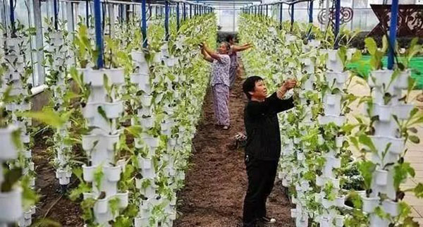 1656467307366067.jpg 03.jpg